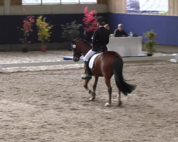 Reitturnier Weilheim/Teck 2017