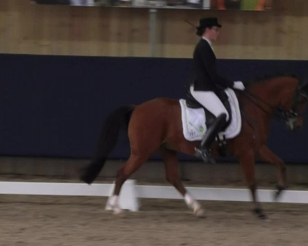 Reitturnier Weilheim/Teck 2017