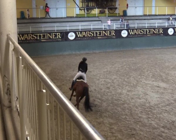Reitturnier Warstein 2017