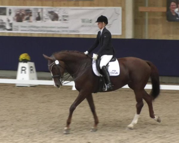 Reitturnier Weilheim/Teck 2017