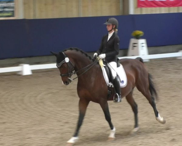 Reitturnier Weilheim/Teck 2017