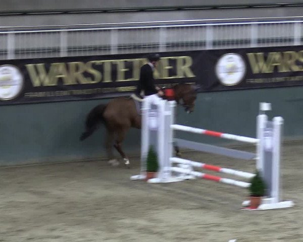 Reitturnier Warstein 2017