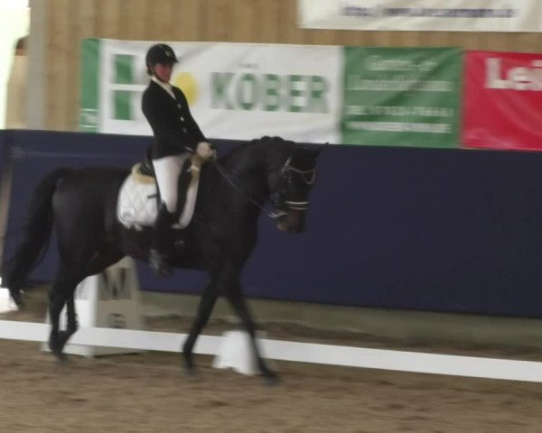 Reitturnier Weilheim/Teck 2017