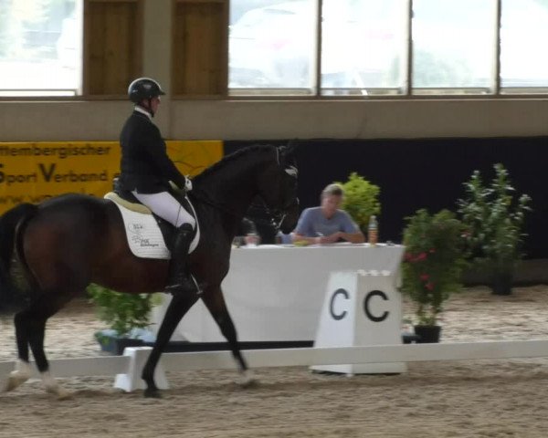 Reitturnier Weilheim/Teck 2017