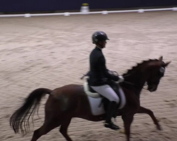Reitturnier Weilheim/Teck 2017