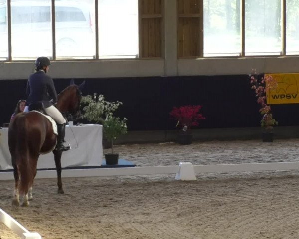 Reitturnier Weilheim/Teck 2017