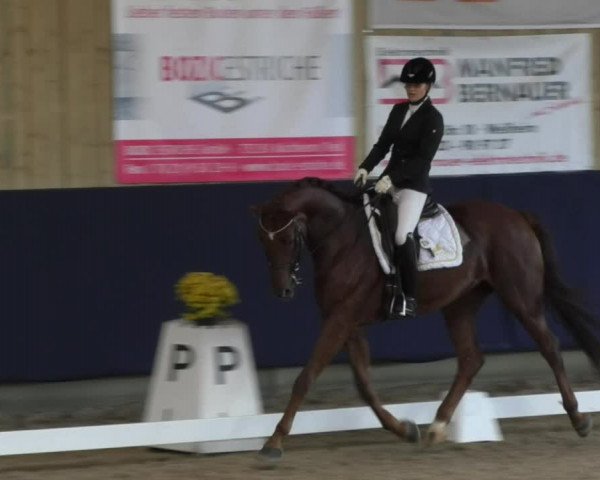 Reitturnier Weilheim/Teck 2017