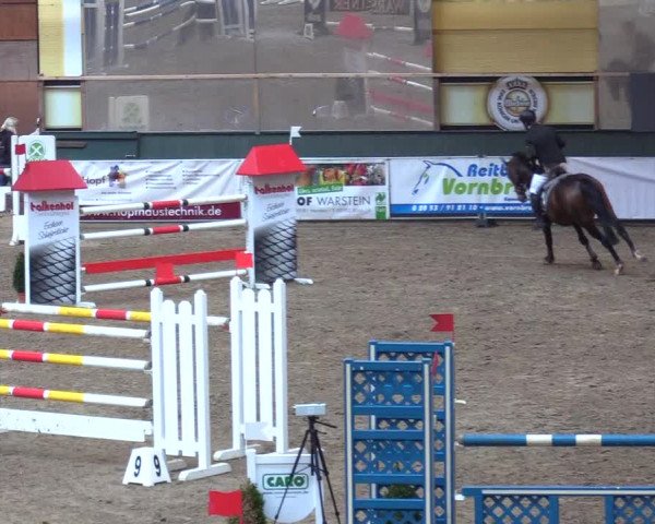 Reitturnier Warstein 2017