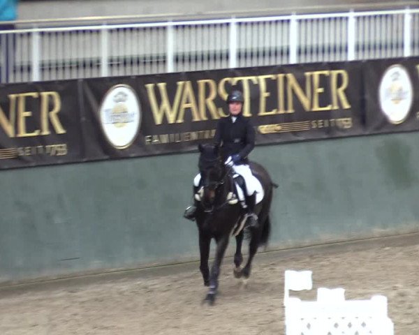 Reitturnier Warstein 2017