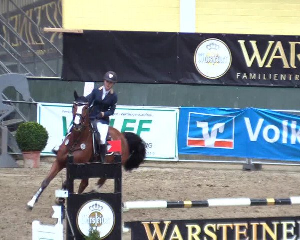 Reitturnier Warstein 2017