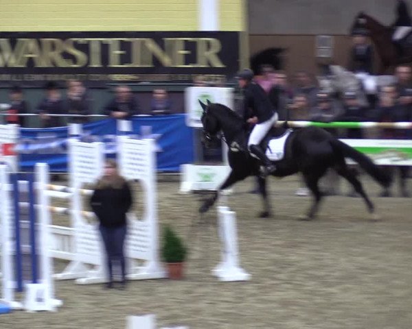 Reitturnier Warstein 2017