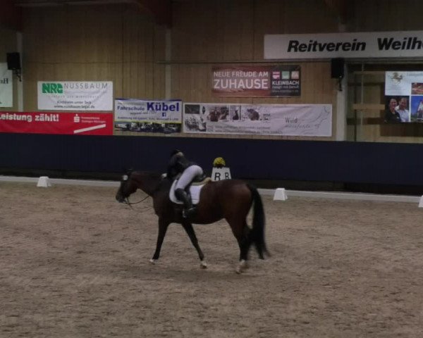 Reitturnier Weilheim/Teck 2017