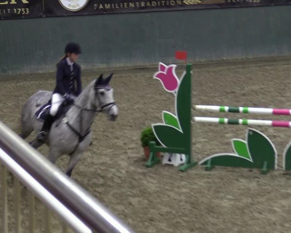 Reitturnier Warstein 2017