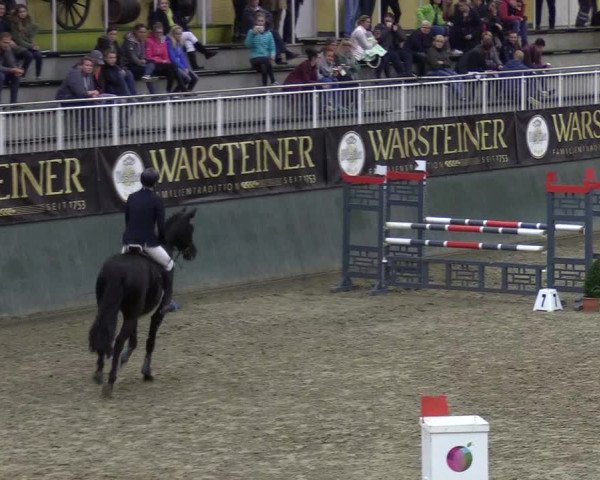 Reitturnier Warstein 2017