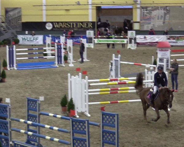 Reitturnier Warstein 2017