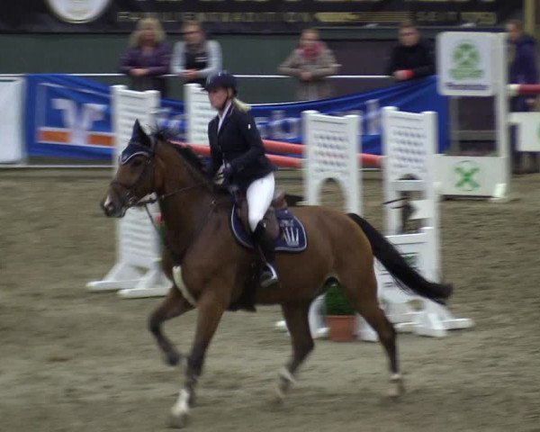 Reitturnier Warstein 2017