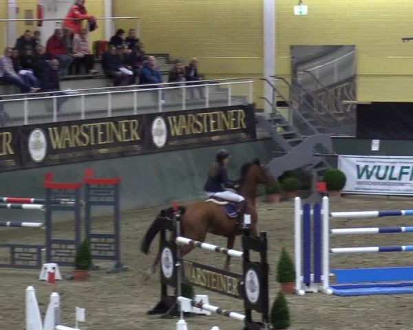Reitturnier Warstein 2017