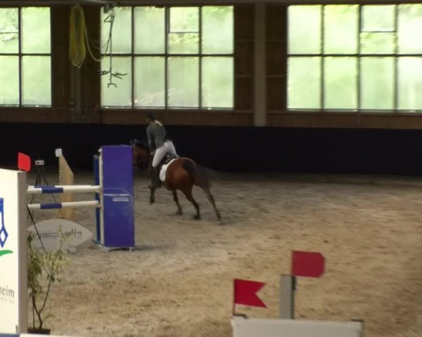 Reitturnier Weilheim/Teck 2017