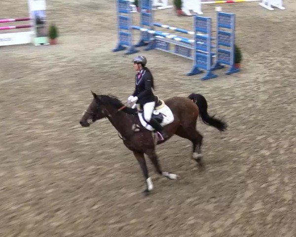 Reitturnier Warstein 2017