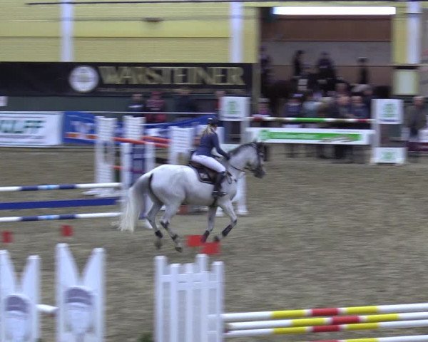 Reitturnier Warstein 2017