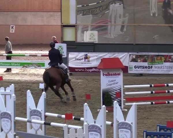Reitturnier Warstein 2017