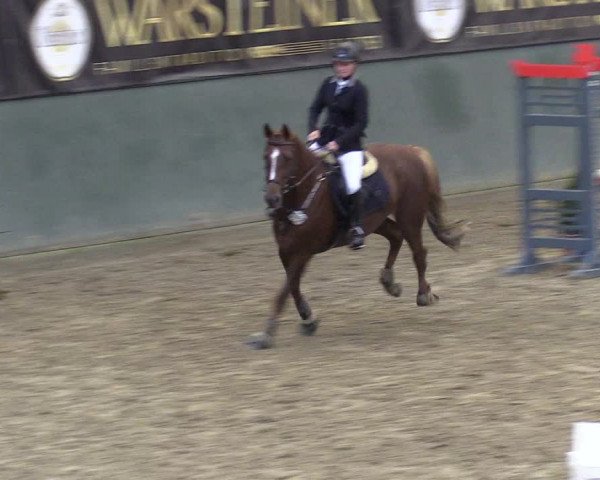 Reitturnier Warstein 2017