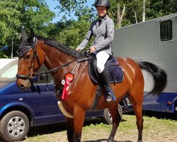 jumper Monsun 118 (German Sport Horse, 2007, from Monte Bellini)