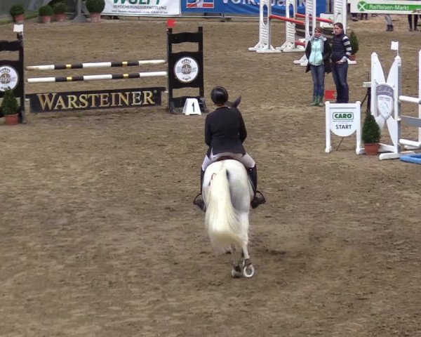 Reitturnier Warstein 2017