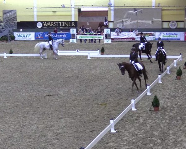 Reitturnier Warstein 2017