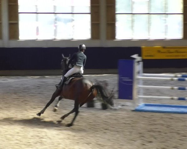 Reitturnier Weilheim/Teck 2017