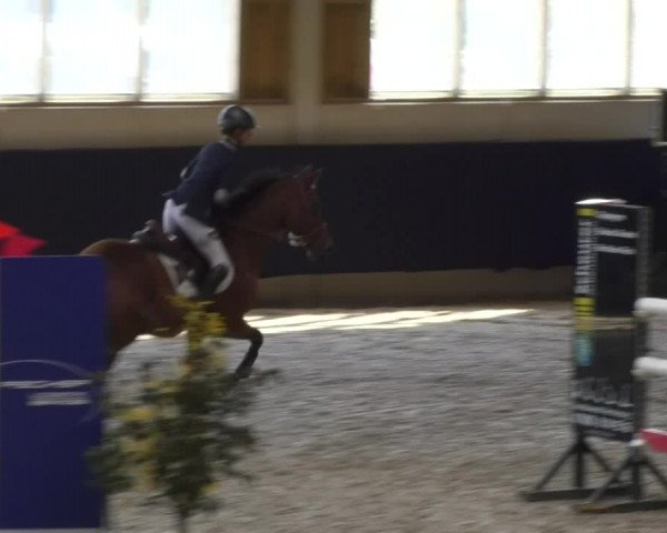 Reitturnier Weilheim/Teck 2017