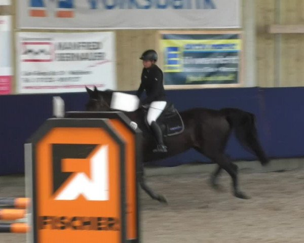 Reitturnier Weilheim/Teck 2017