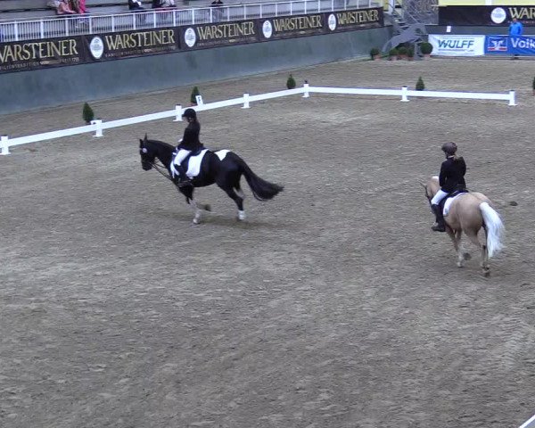 Reitturnier Warstein 2017