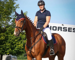 jumper Alvaro W (Hanoverian, 2013, from Asti Spumante 7)