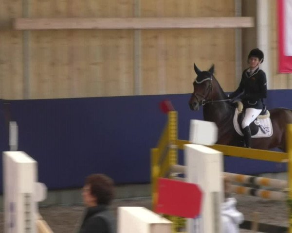 Reitturnier Weilheim/Teck 2017