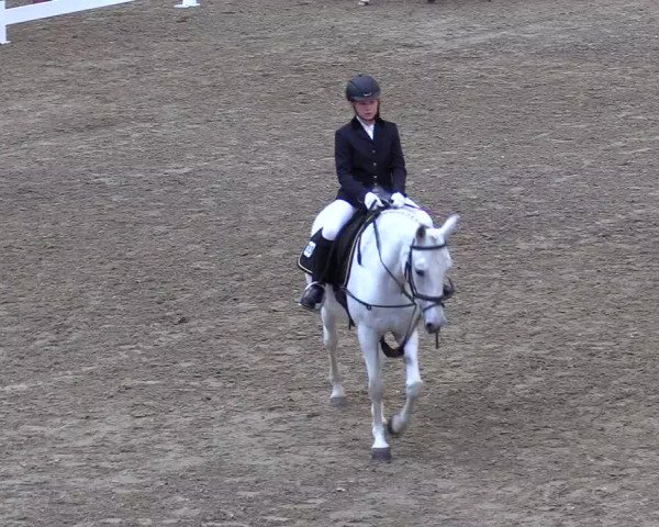 Reitturnier Warstein 2017