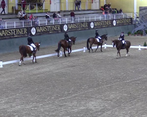 Reitturnier Warstein 2017