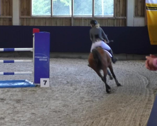 Reitturnier Weilheim/Teck 2017