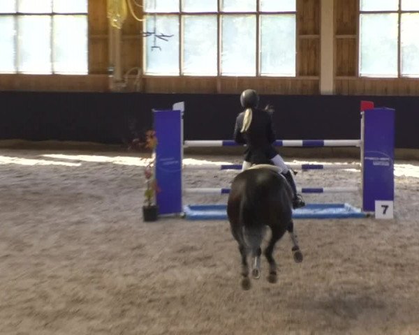 Reitturnier Weilheim/Teck 2017