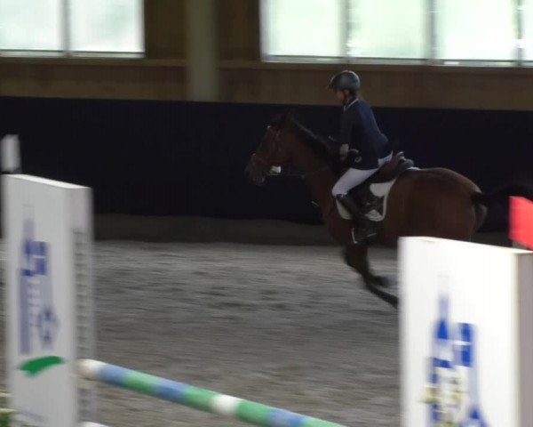 Reitturnier Weilheim/Teck 2017