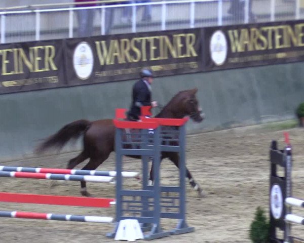 Reitturnier Warstein 2017