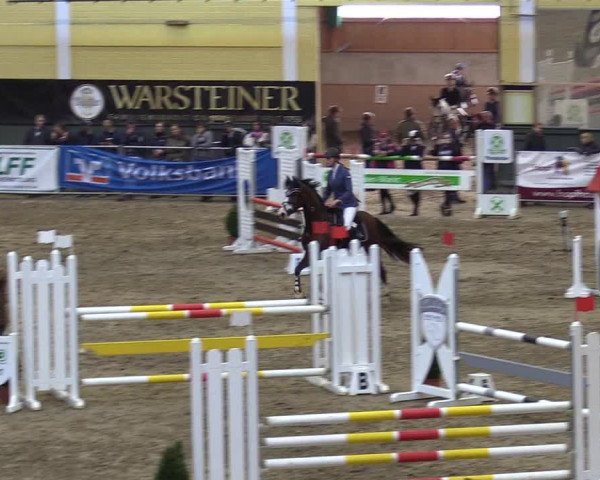 Reitturnier Warstein 2017
