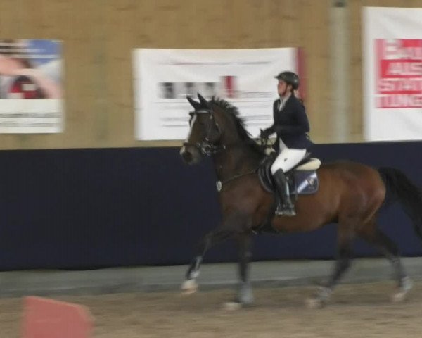 Reitturnier Weilheim/Teck 2017