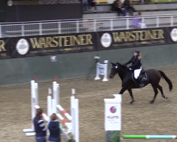Reitturnier Warstein 2017