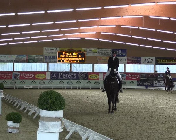 Reitturnier Isterberg 2017