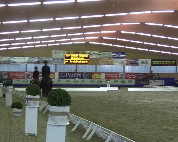 Reitturnier Isterberg 2017