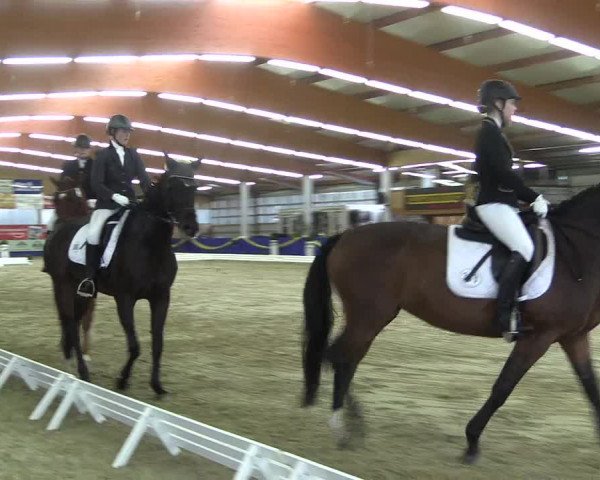 Reitturnier Isterberg 2017
