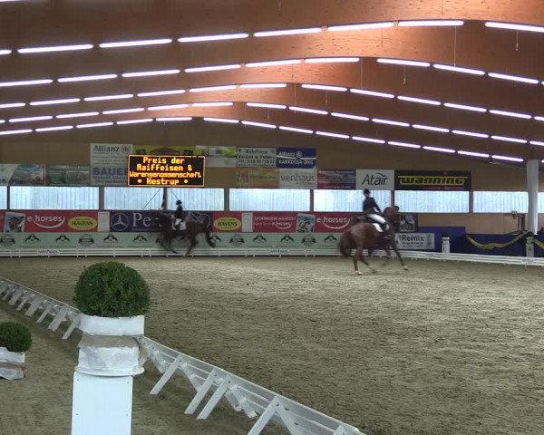 Reitturnier Isterberg 2017