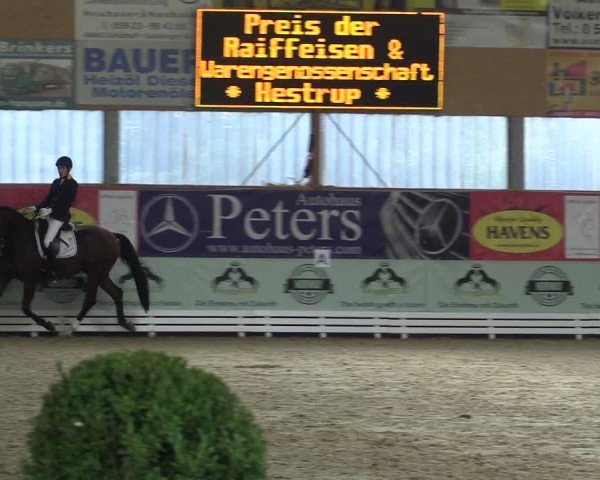Reitturnier Isterberg 2017