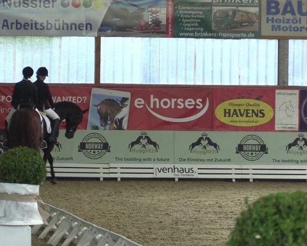 Reitturnier Isterberg 2017